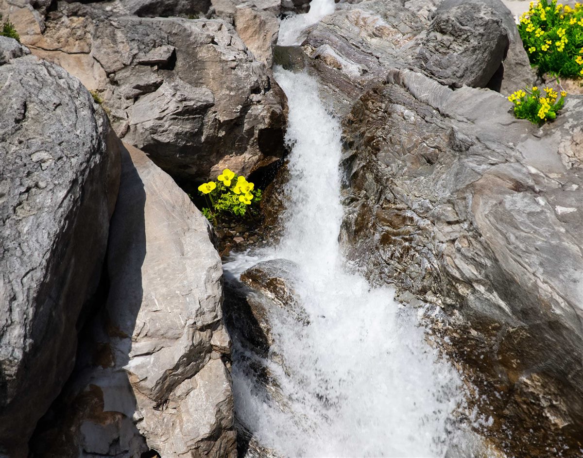 Shkreli Resort Nature